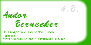 andor bernecker business card